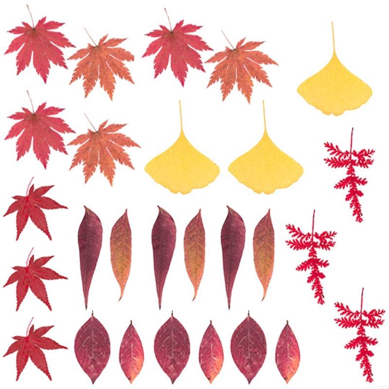 Gedroogde geperste bloem voor  - Art And Craft Nature recensie en prijs
